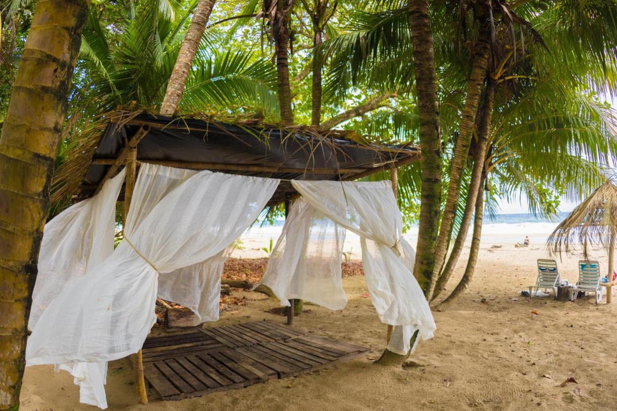 Playa 506 Beachfront Hostel Puerto Viejo de Talamanca Eksteriør bilde