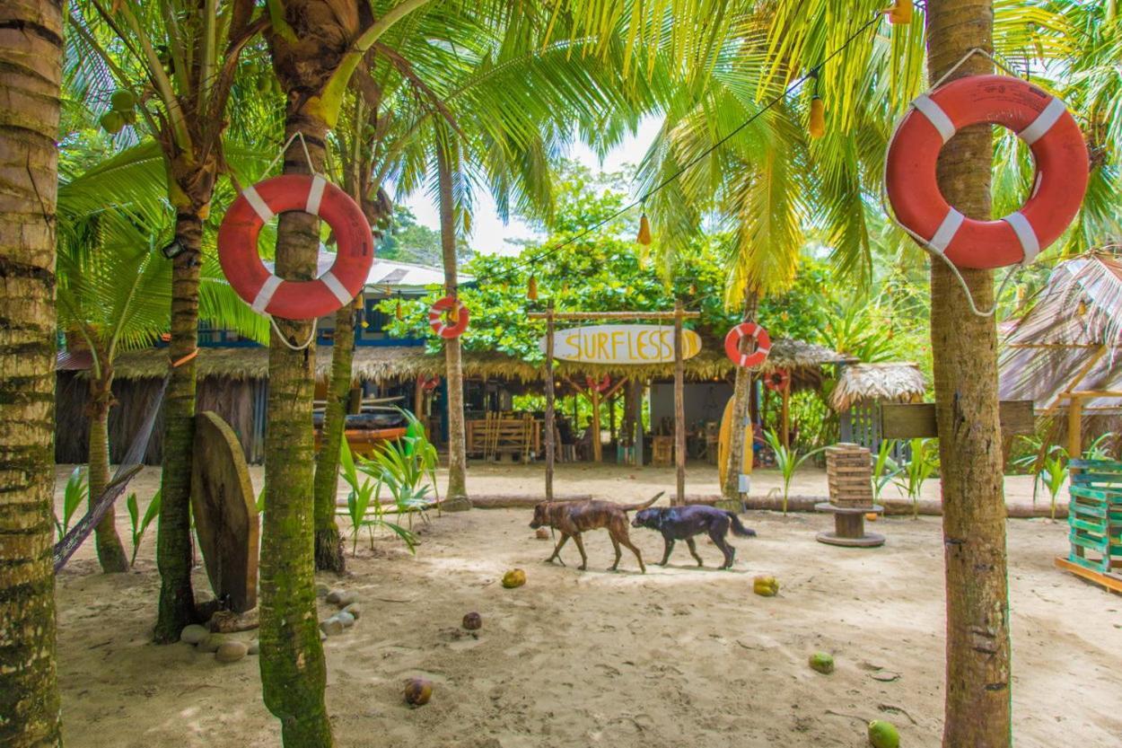 Playa 506 Beachfront Hostel Puerto Viejo de Talamanca Eksteriør bilde