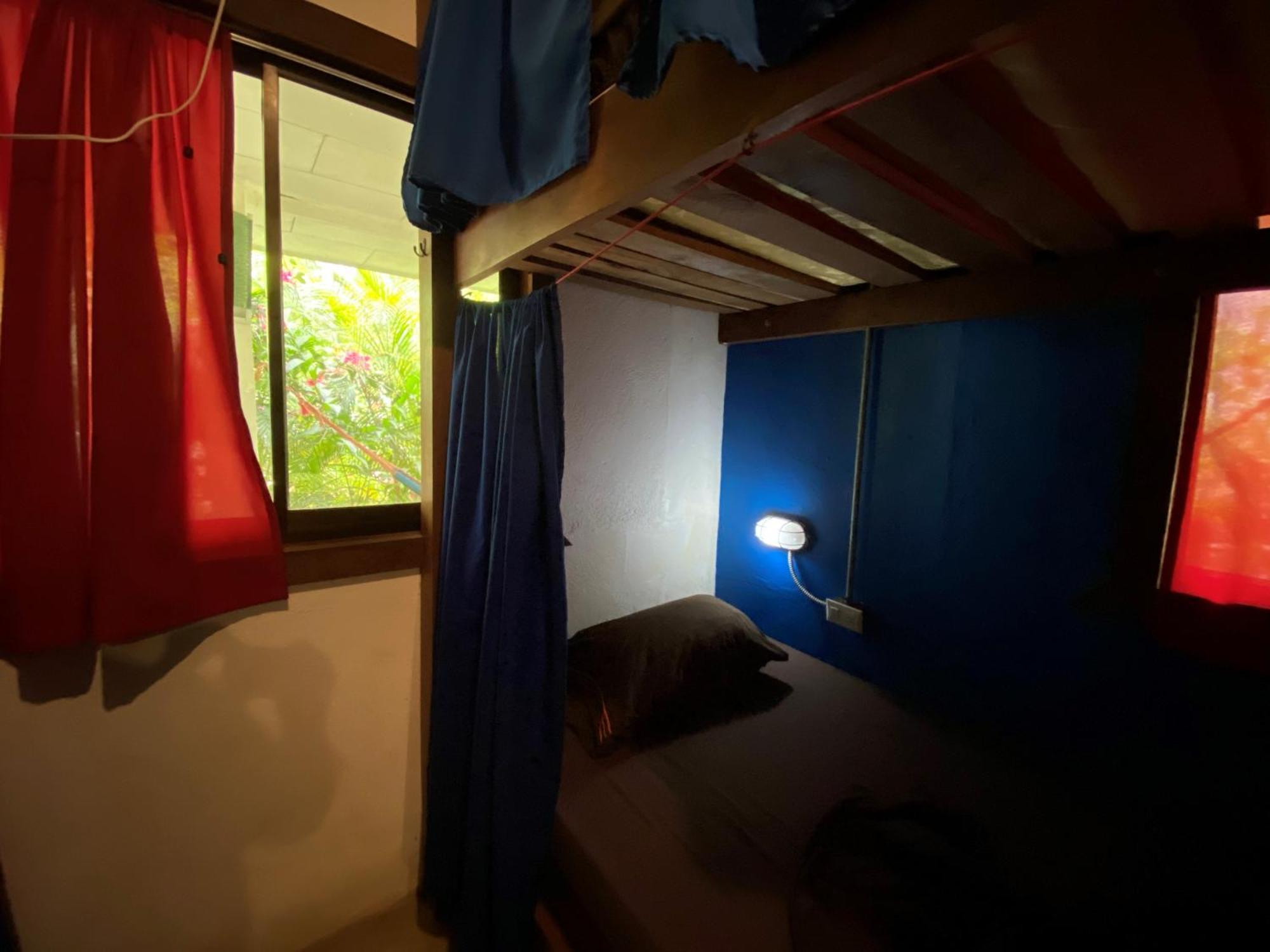 Playa 506 Beachfront Hostel Puerto Viejo de Talamanca Rom bilde