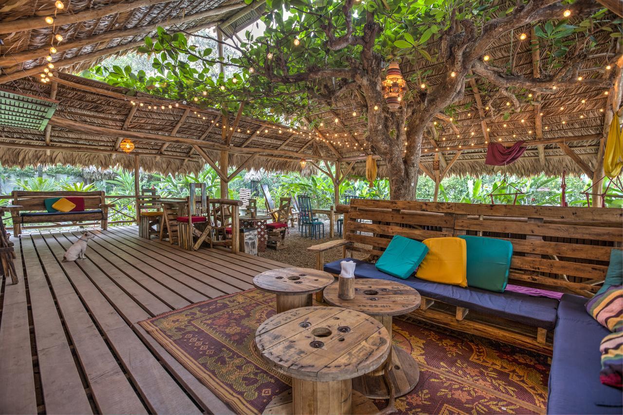 Playa 506 Beachfront Hostel Puerto Viejo de Talamanca Eksteriør bilde