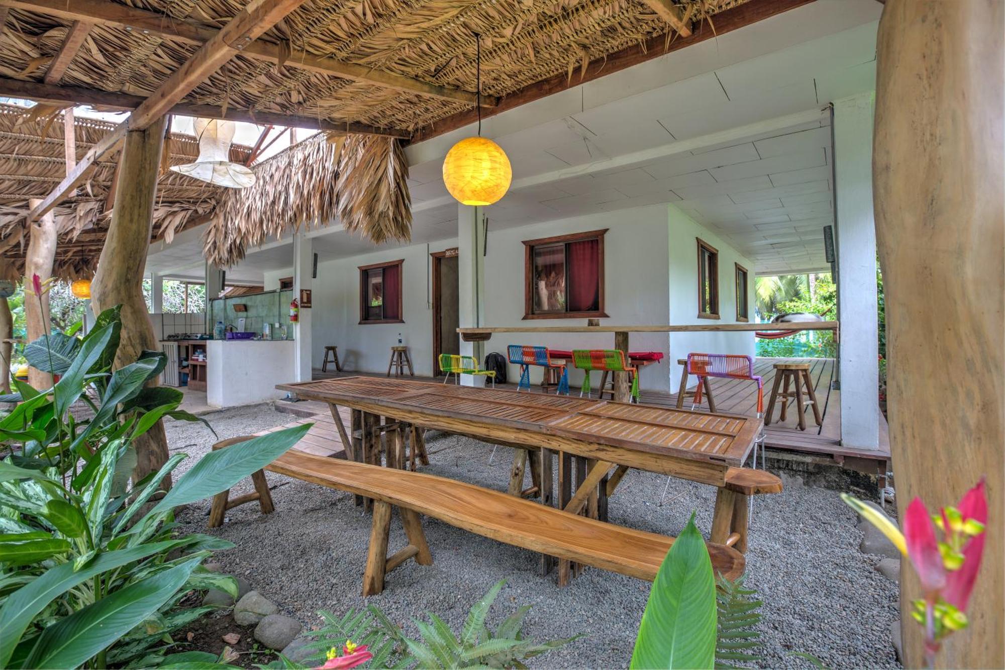 Playa 506 Beachfront Hostel Puerto Viejo de Talamanca Eksteriør bilde