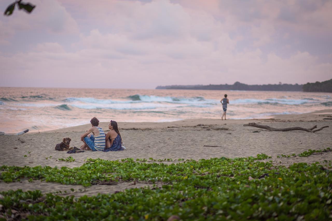 Playa 506 Beachfront Hostel Puerto Viejo de Talamanca Eksteriør bilde