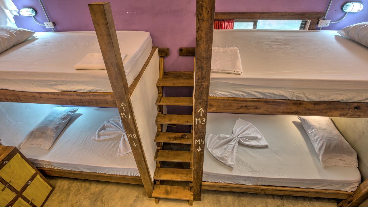 Playa 506 Beachfront Hostel Puerto Viejo de Talamanca Eksteriør bilde