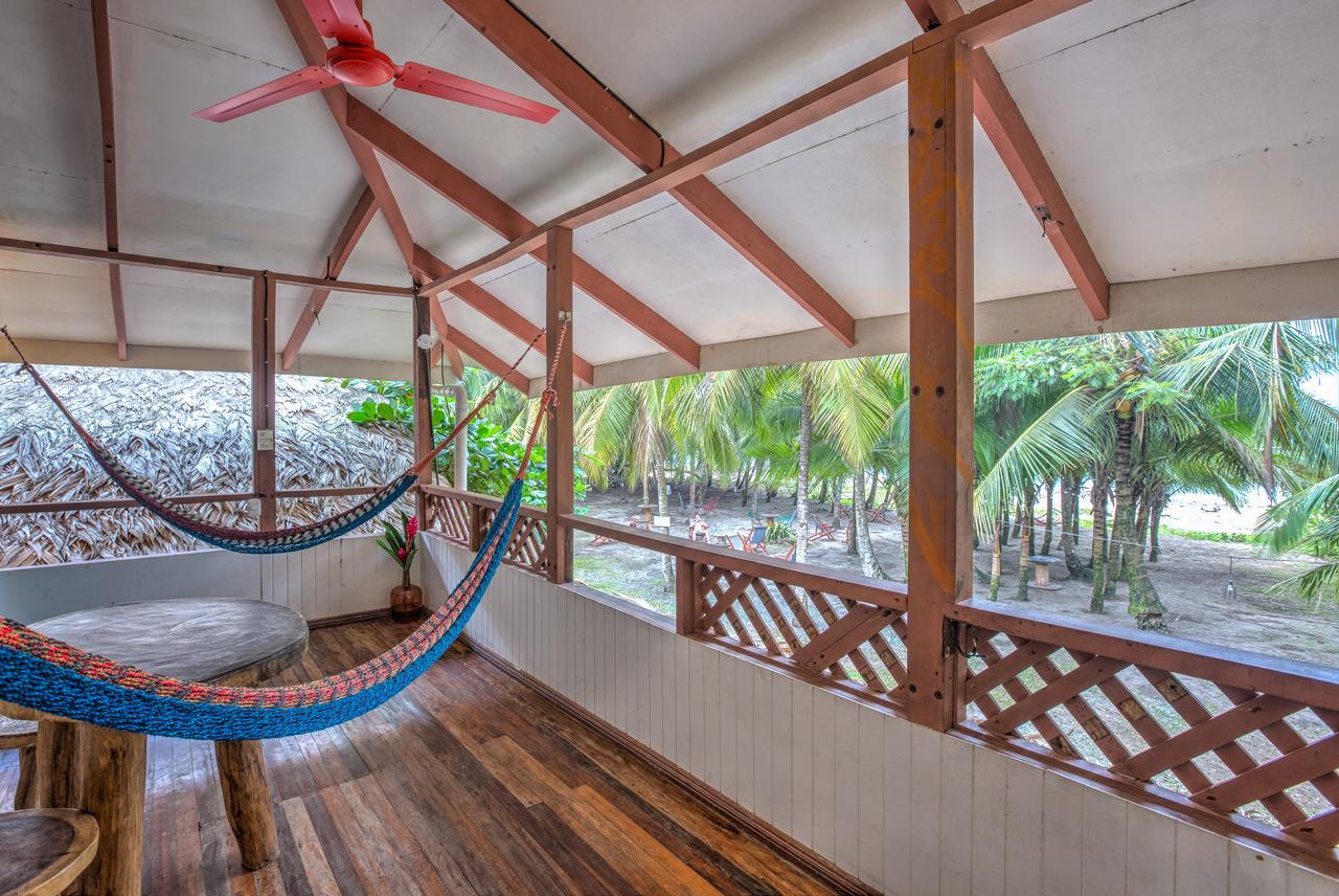 Playa 506 Beachfront Hostel Puerto Viejo de Talamanca Eksteriør bilde