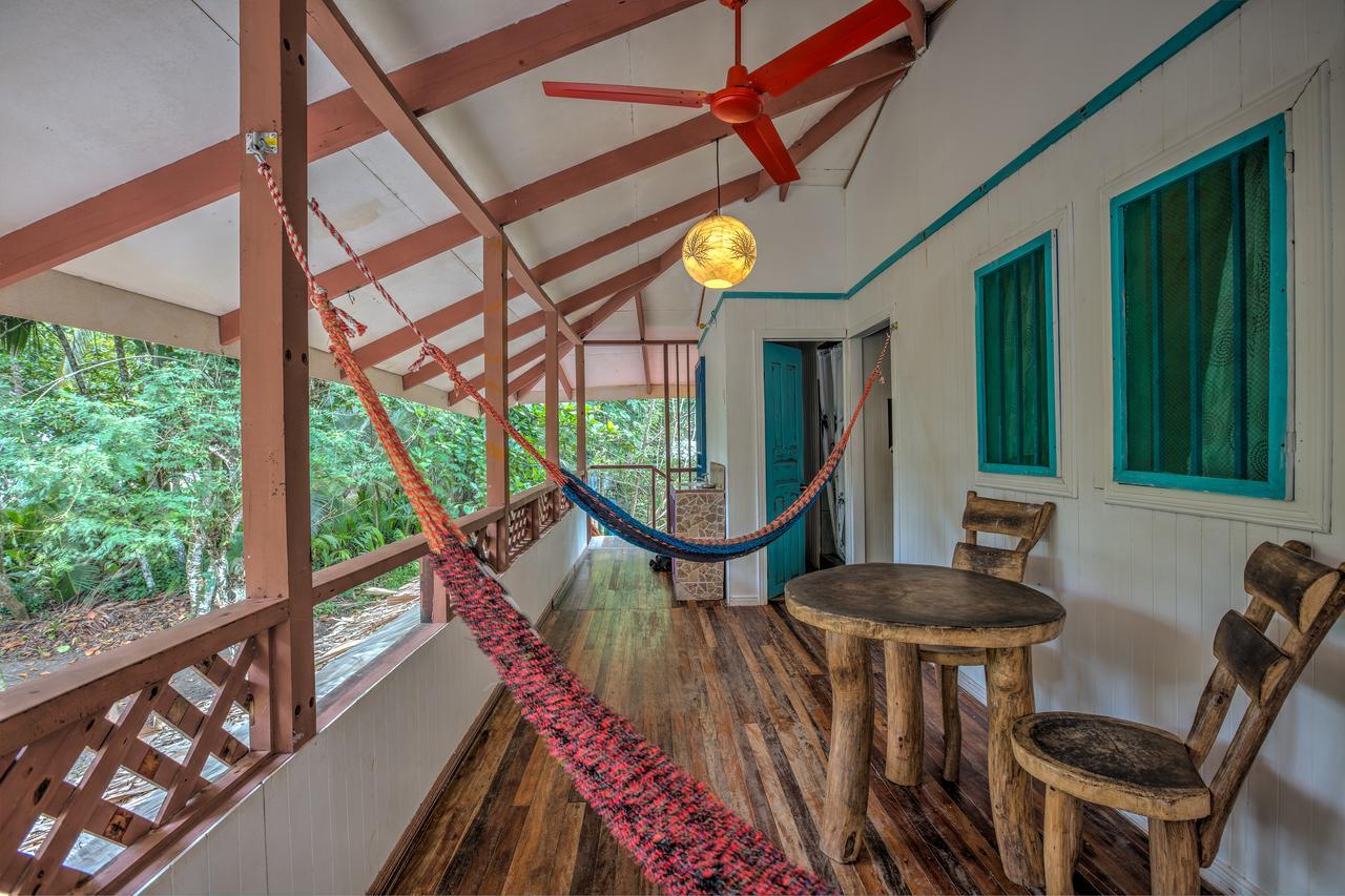 Playa 506 Beachfront Hostel Puerto Viejo de Talamanca Eksteriør bilde