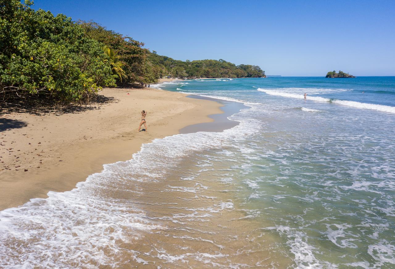 Playa 506 Beachfront Hostel Puerto Viejo de Talamanca Eksteriør bilde